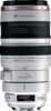 Canon EF 100-400mm f/4.5-5.6L IS USM