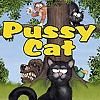 Pussy Cat