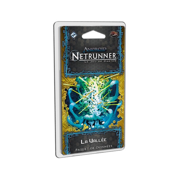 Netrunner : la vallée