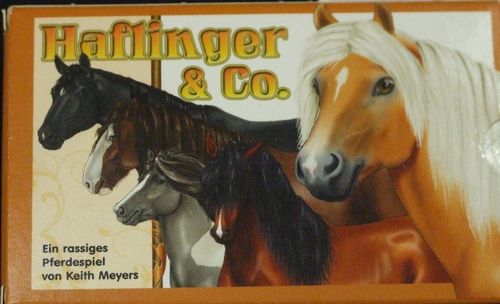 Haflinger & co