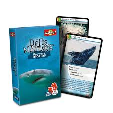 Défis nature animaux marins