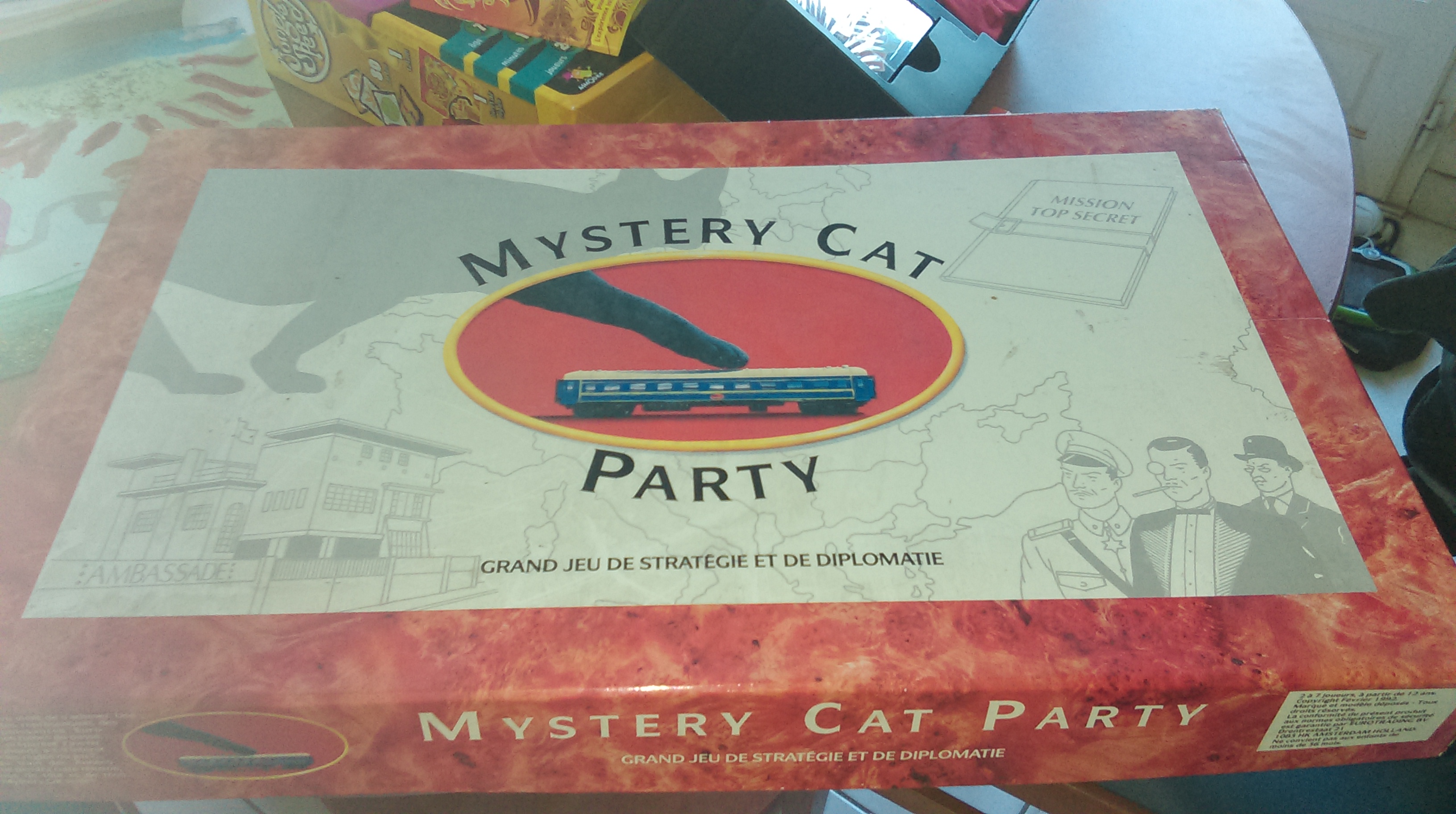 Mystery cat party