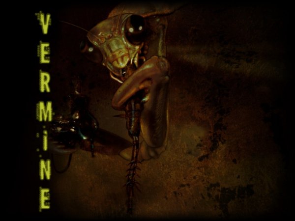 Vermine