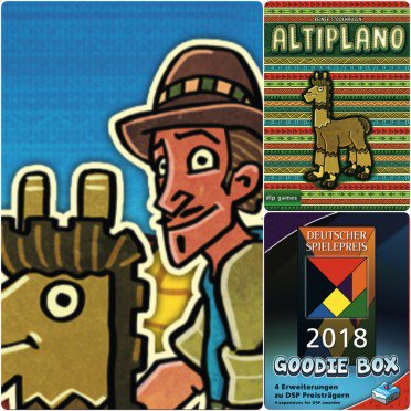 Altiplano - Alpaca Rider