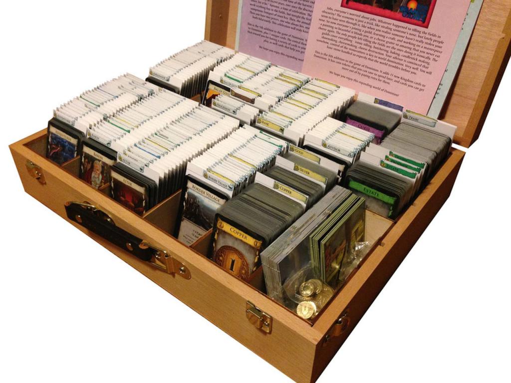 Dominion - Dominion Case and Organizer Set (Broken Token)