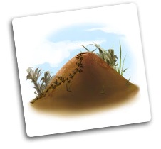 Petrichor - Anthill Promo Tile