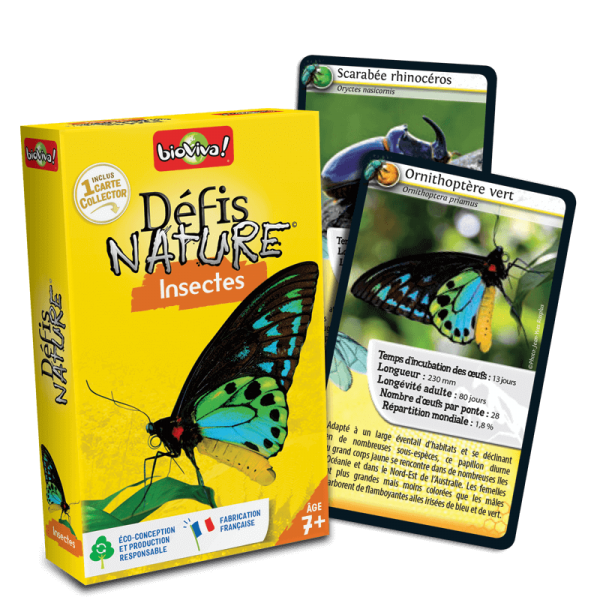 Défis Nature Insectes