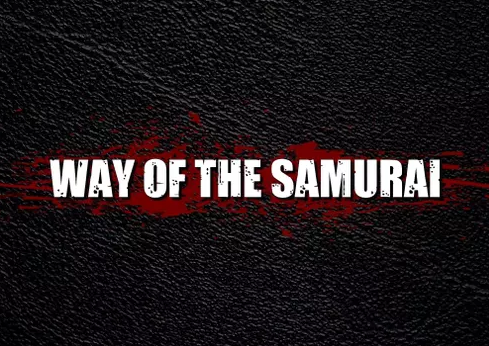 Way of the Samurai - Definitive Edition