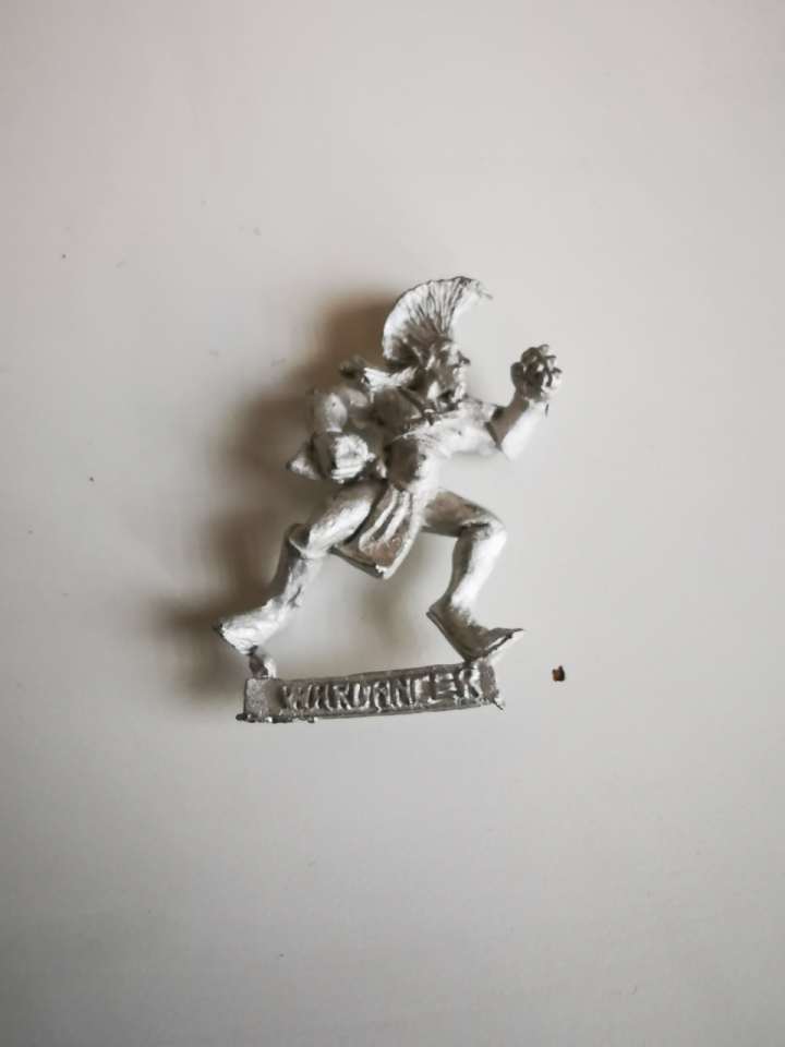 Bloodbowl - Equipe Elfes Sylvains