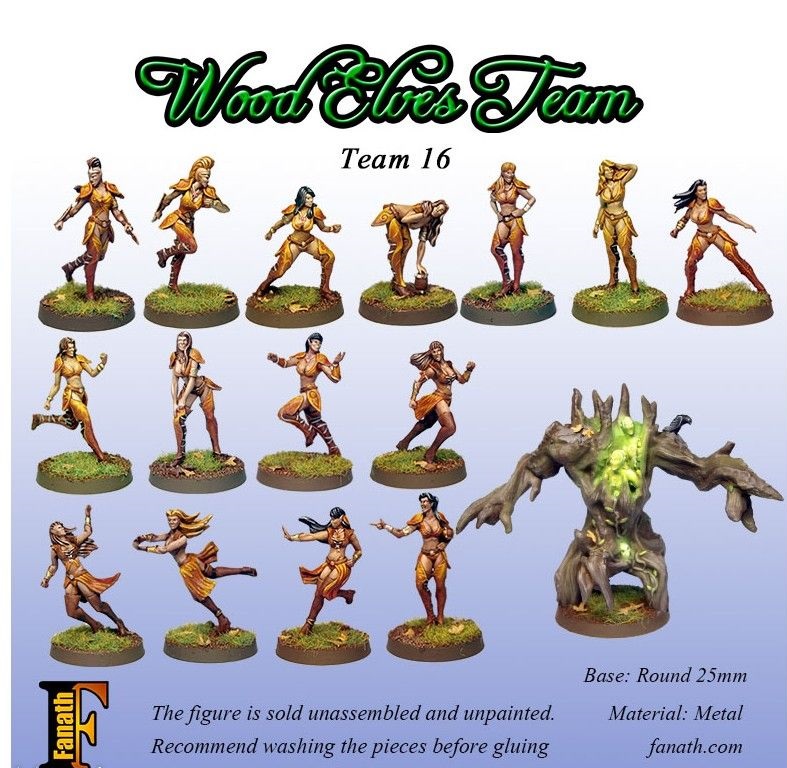 Blood Bowl - Figurines - Fanath : Wood Elves Team (16 Players)