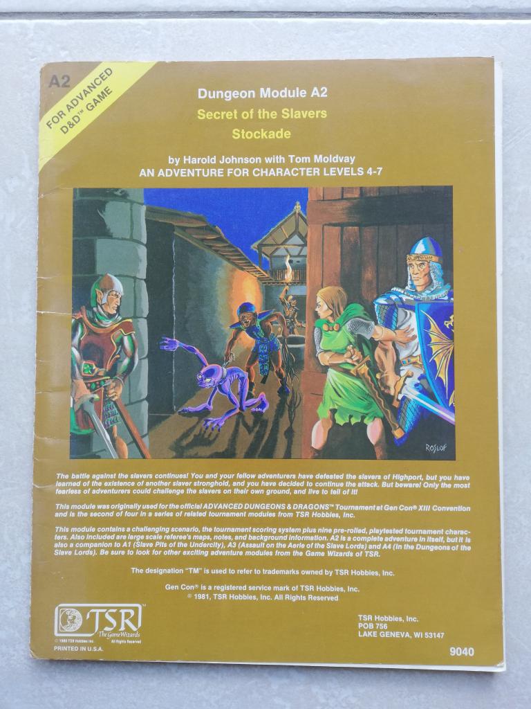 Advanced Dungeons & Dragons - 1st Edition - 1981 - Tsr