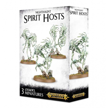 Warhammer Age Of Sigmar - Nighthaunt Spirit Hosts