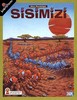 Sisimizi