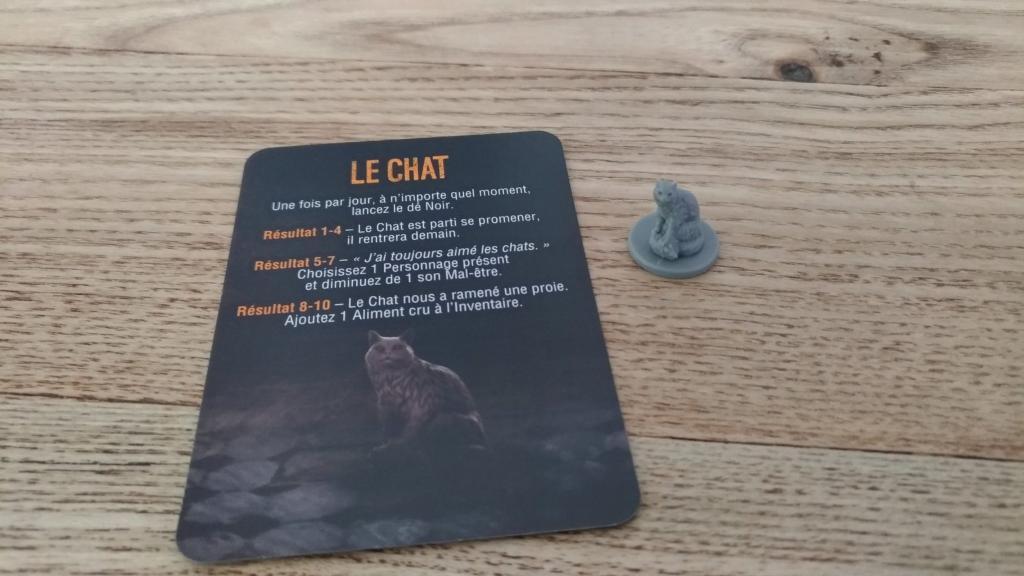 This War Of Mine - Le Chat