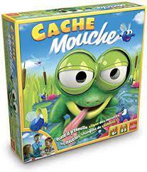 Cache Mouche
