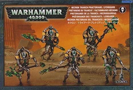 Warhammer 40 000 - Necrons - Prétoriens Du Triarcat