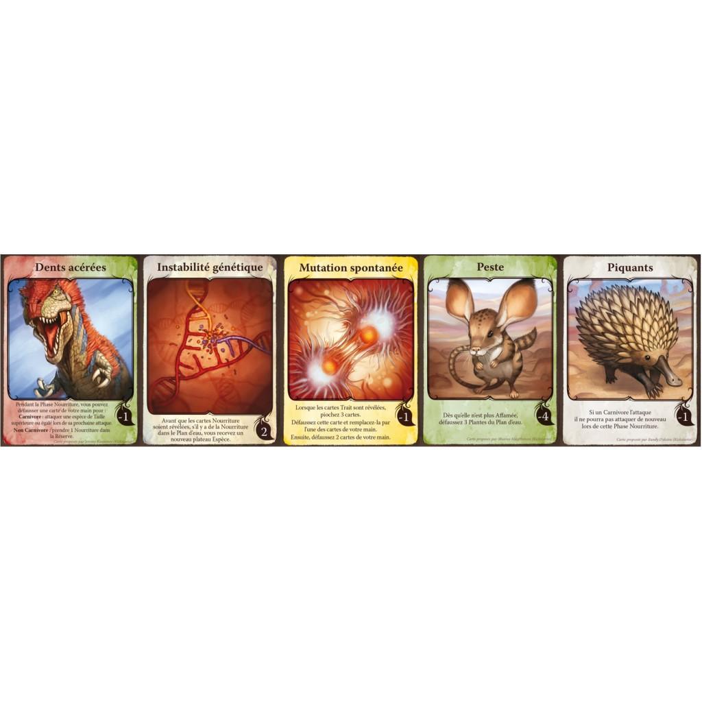 Evolution - Extension Cartes