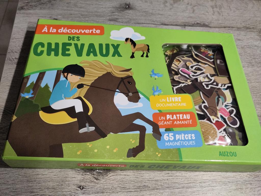 A La Découverte Des Chevaux