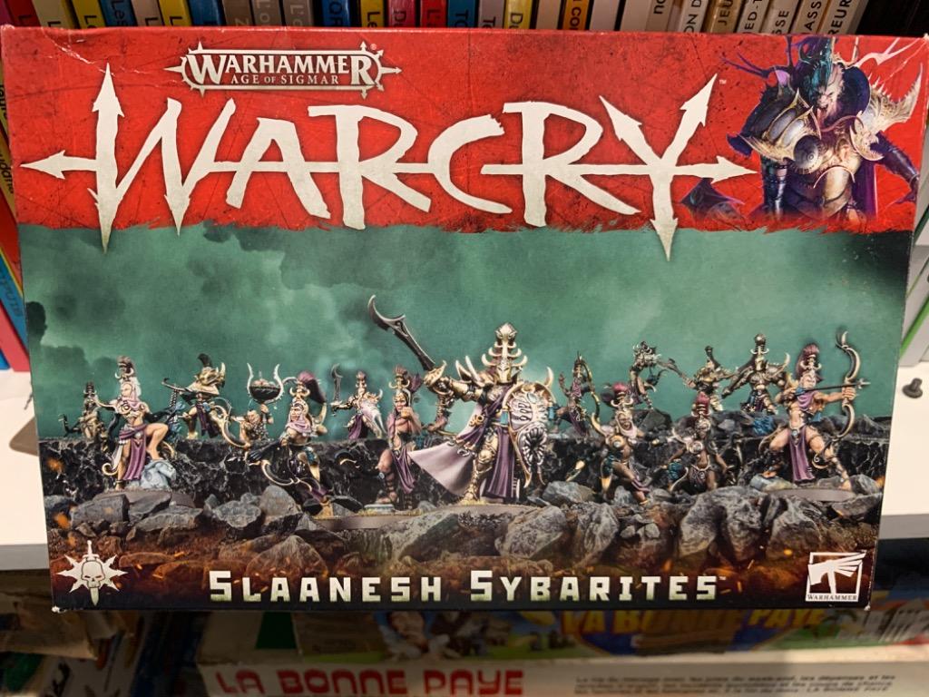 Warhammer Age Of Sigmar: Warcry - Sybarites De Slaanesh