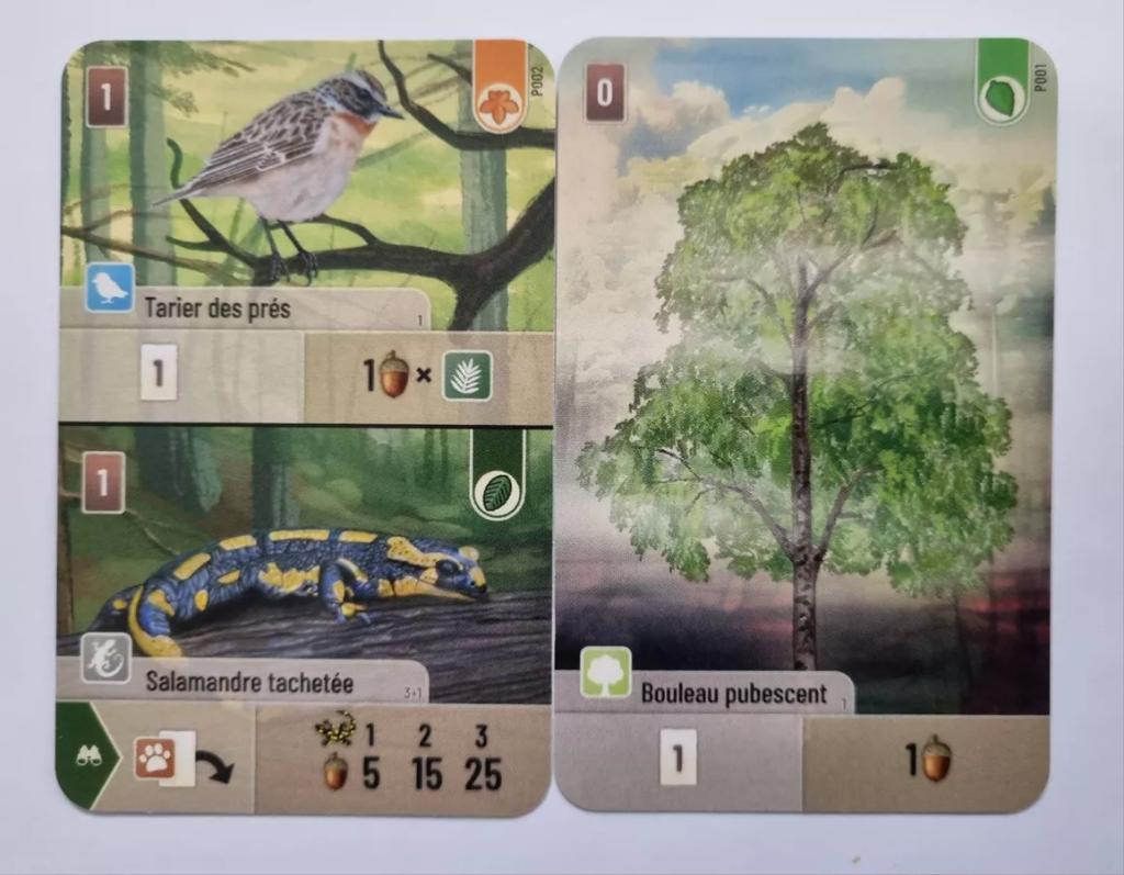 Acheter Forêt Mixte - 2 Cartes Goodies d'occasion sur Okkazeo