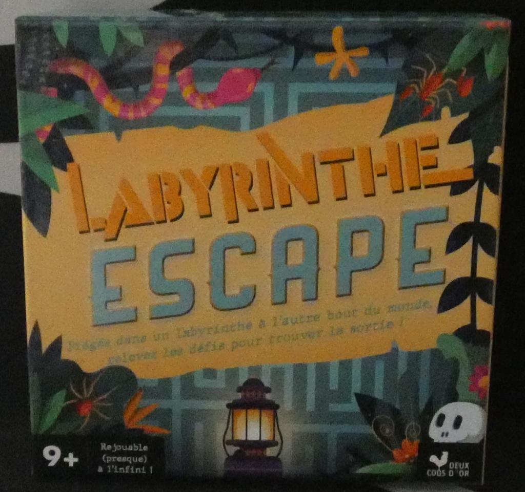 Labyrinthe Escape
