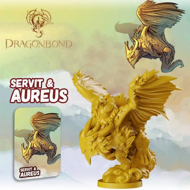 Dodos Ridding Dinos - Servit & Aureus