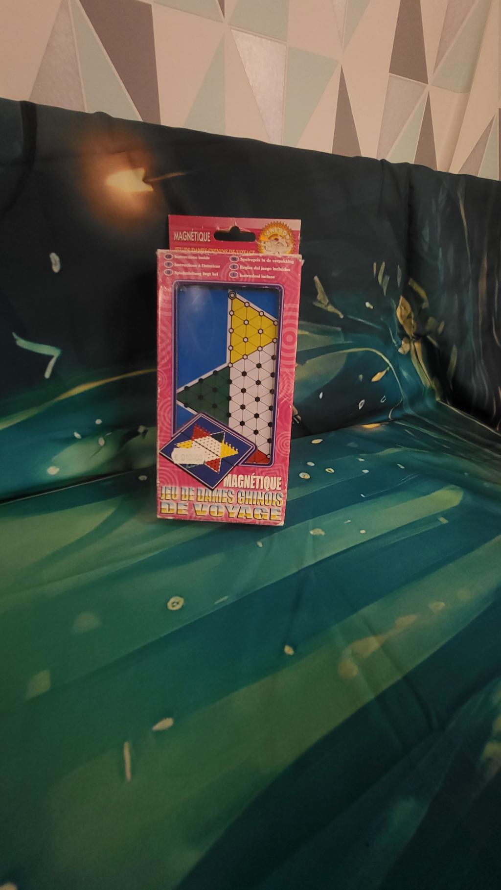Jeu De Dames Chinois De Voyage