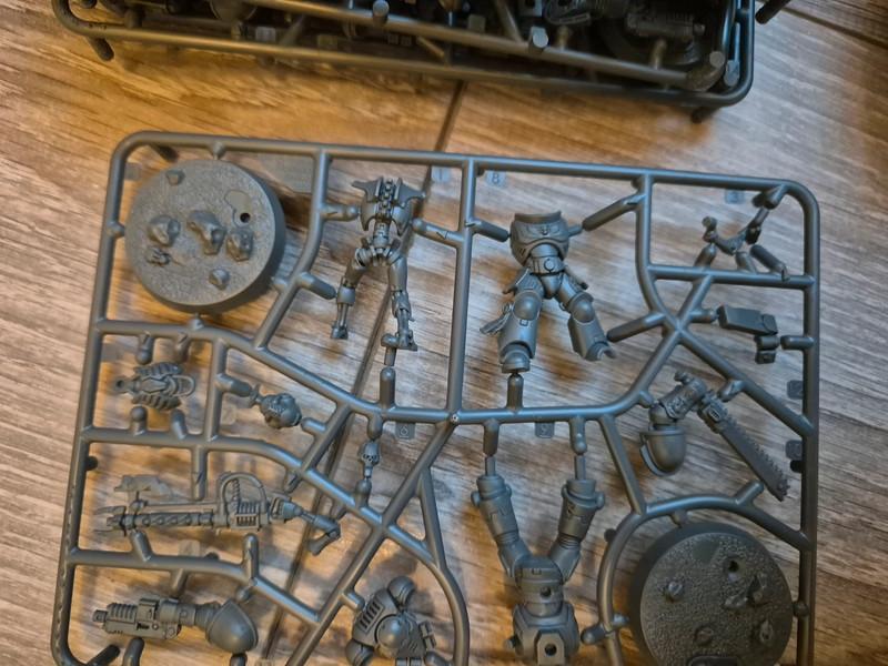 Lot De 12 Grappes Intercessor Space Marine Et Nécron (12 De Chaque)