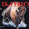 Buffalo