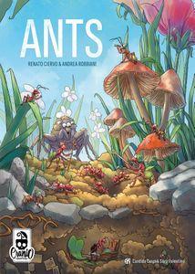 Ants Ants