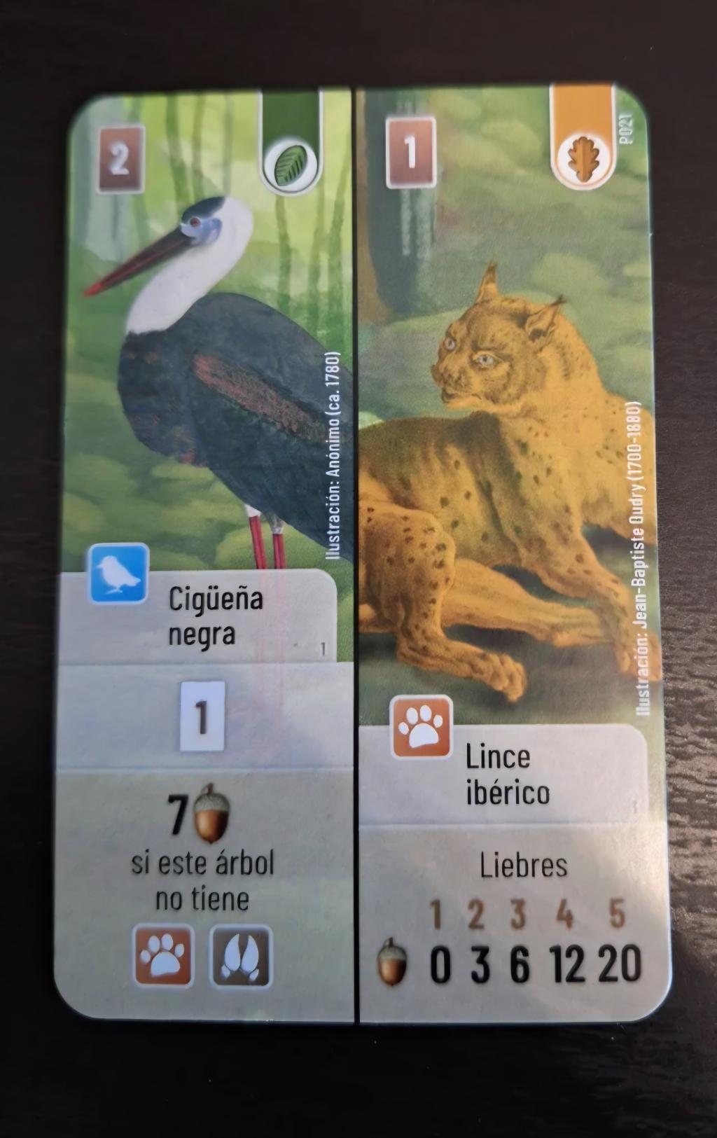 Forêt Mixte / Forest Shuffle - Cigüeña Negra / Lince Ibérico Promo Card Forêt Mixte / Forest Shuffle - Cigüeña Negra / Lince Ibérico Promo Card
