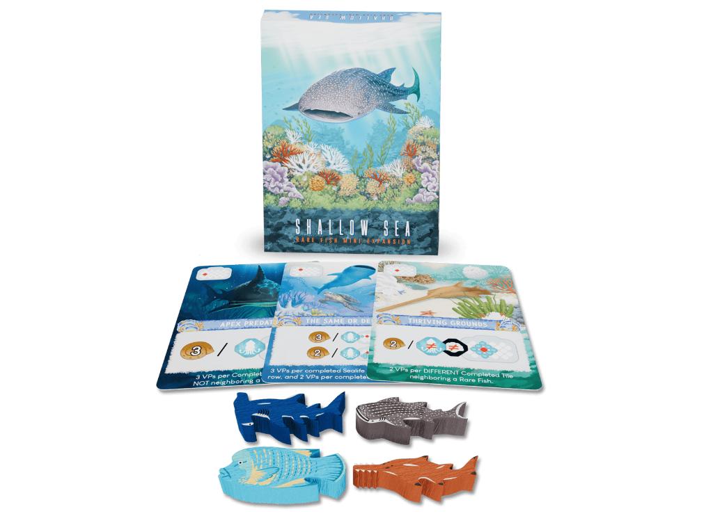 Shallow Sea - Rare Fish