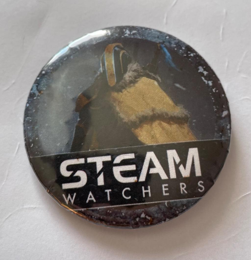 Badge Steam Watchers
