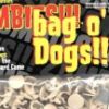 Zombies!!! Bag o'Dogs!!!