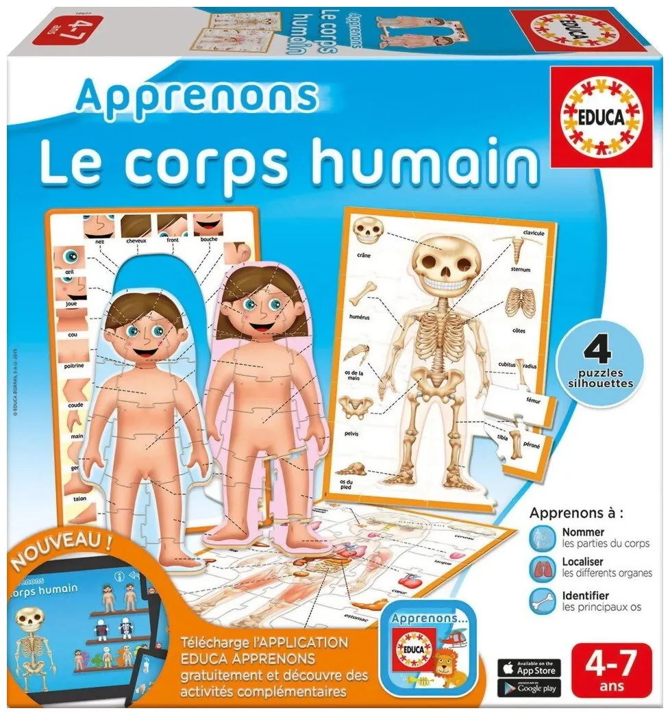 Apprenons Le Corps Humain