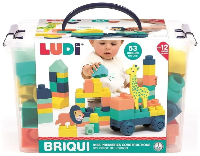 Briqui Mes Premières Constructions