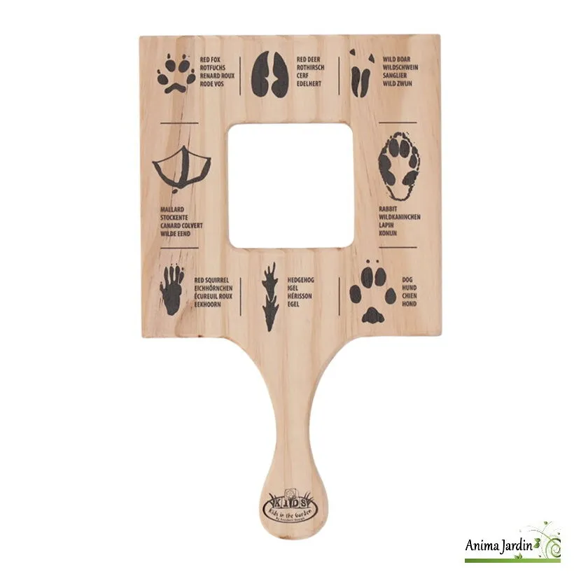 Cadre D'exploration Empreintes En Bois