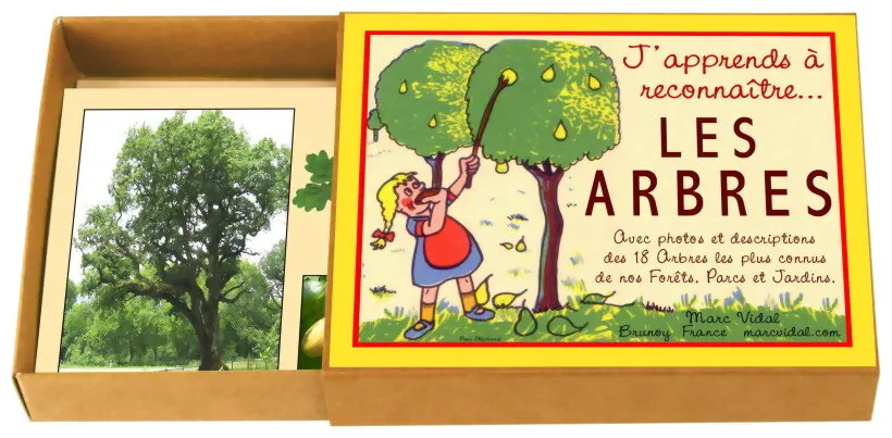 J'apprends A Reconnaitre Les Arbres J'apprends A Reconnaitre Les Arbres