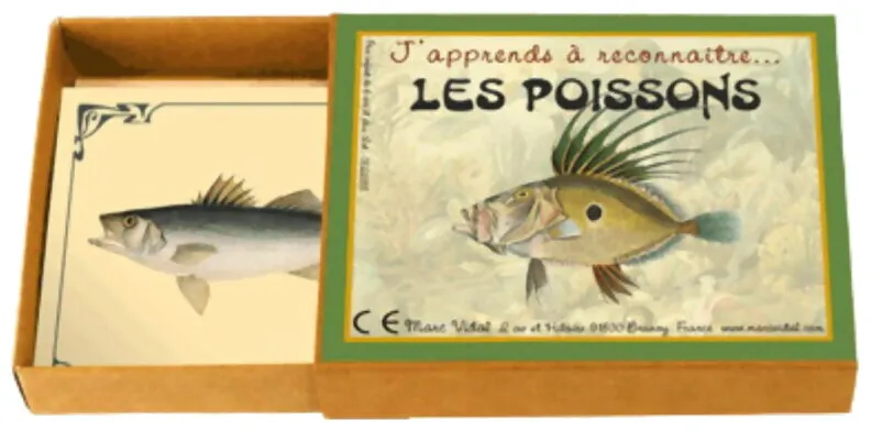 J'apprends À Reconnaître Les Poissons J'apprends À Reconnaître Les Poissons