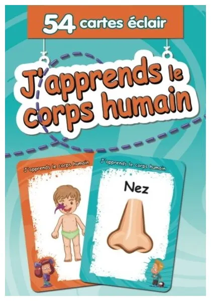 J'apprends Le Corps Humain 54 Cartes Éclair