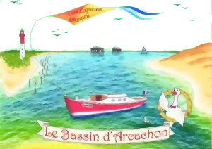 L'oie Capucine Découvre Le Bassin D'arcachon
