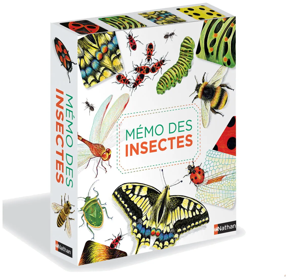 Mémo Des Insectes Mémo Des Insectes