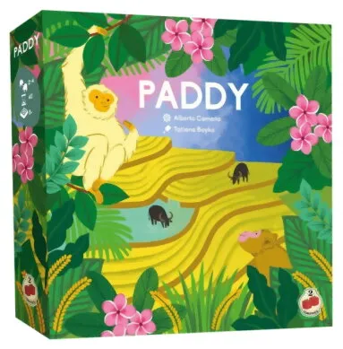 Paddy
