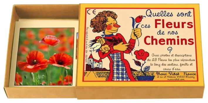 Quelles Sont Ces Fleurs De Nos Chemins ?