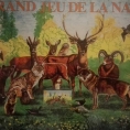 Image de Le grand jeu de la nature