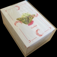 Image de Cardinal 
