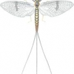 Image de Mayfly