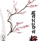 Image de Sakura (A-Games)
