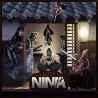 Image de Era Of The Ninjas