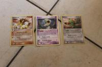 Image de Pokémon Jcc - Cartes Pokemon Tempête De Sable